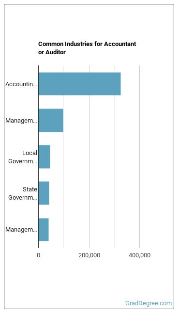 Accountants and Auditors industries