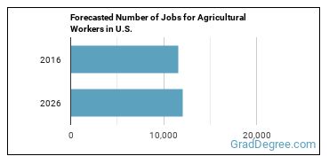 Forecasted number of jobs for Agricultural Workers, All Other
