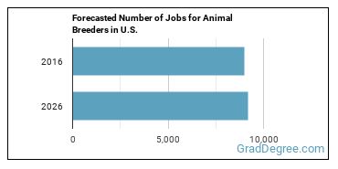 Forecasted number of jobs for Animal Breeders