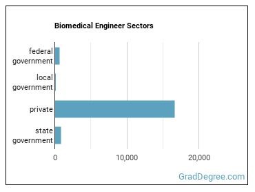 Bioengineers and Biomedical Engineers sectors