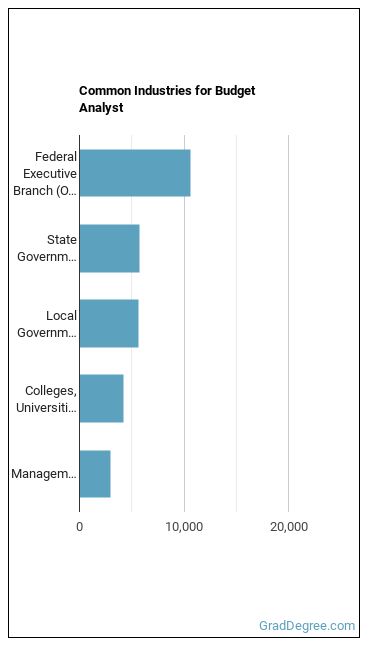 Budget Analysts industries