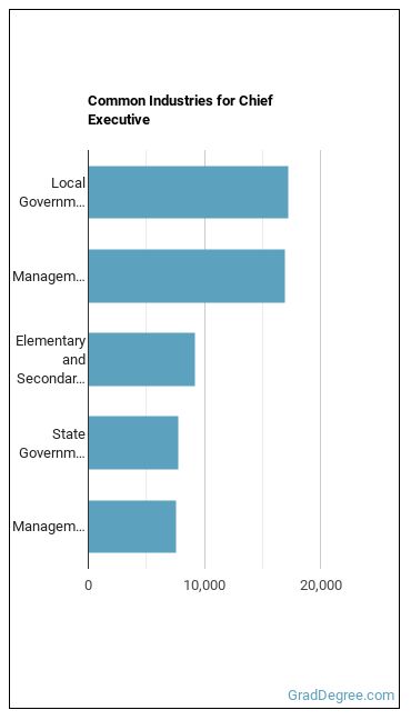Chief Executives industries