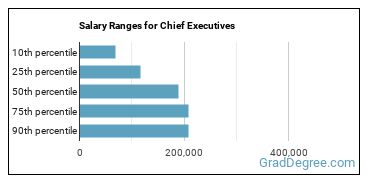 Salary ranges for Chief Executives