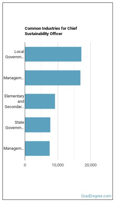 Chief Sustainability Officers industries