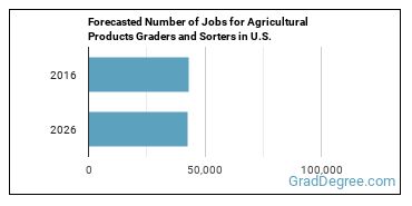 Forecasted number of jobs for Graders and Sorters, Agricultural Products