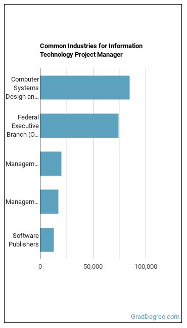 Information Technology Project Managers industries
