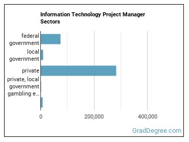 Information Technology Project Managers sectors