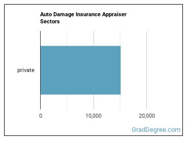 Insurance Appraisers, Auto Damage sectors