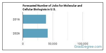 Forecasted number of jobs for Molecular and Cellular Biologists