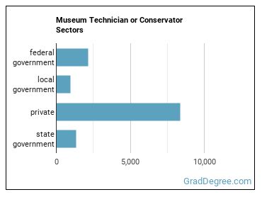 Museum Technicians and Conservators sectors