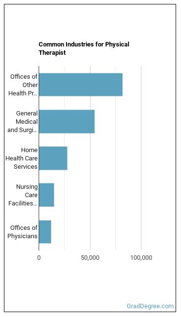 Physical Therapists industries