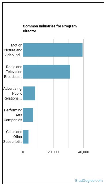 Media Programming Directors industries