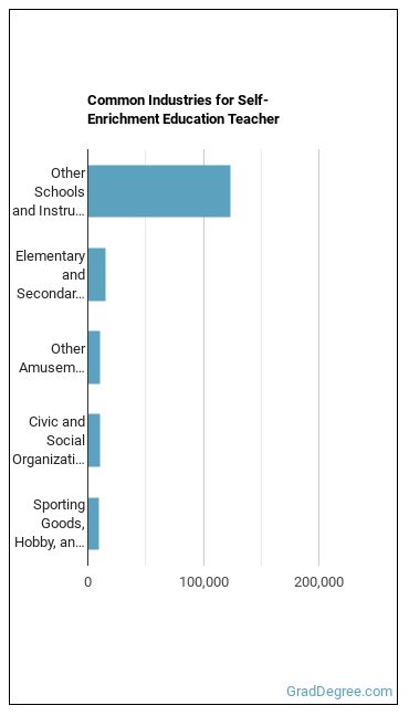 Self-Enrichment Teachers industries