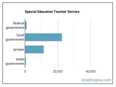 Special Education Teachers, All Other sectors