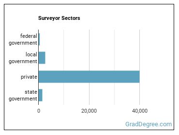 Surveyors sectors