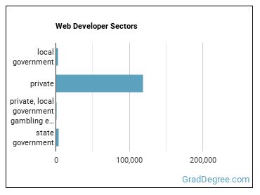 Web Developers sectors