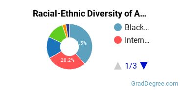 Graduate Racial-Ethnic Diversity at BST