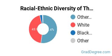 Graduate Racial-Ethnic Diversity at American College of Financial Services