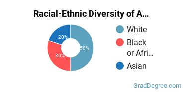 Graduate Racial-Ethnic Diversity at American Islamic College