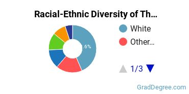 Graduate Racial-Ethnic Diversity at American University