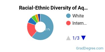 Graduate Racial-Ethnic Diversity at Aquinas Institute of Theology