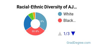 Graduate Racial-Ethnic Diversity at Atlanta's John Marshall Law School