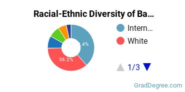 Graduate Racial-Ethnic Diversity at Babson College