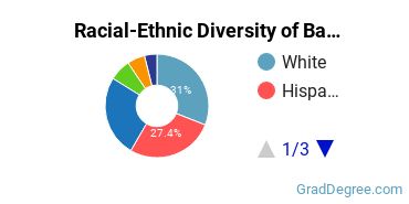 Graduate Racial-Ethnic Diversity at Barry University