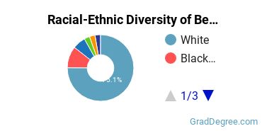 Graduate Racial-Ethnic Diversity at Bellarmine University