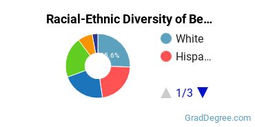 Graduate Racial-Ethnic Diversity at Berkeley College-Woodland Park