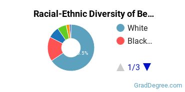 Graduate Racial-Ethnic Diversity at Bethel University