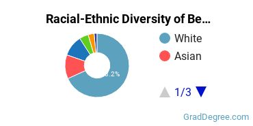 Graduate Racial-Ethnic Diversity at Bethlehem College & Seminary