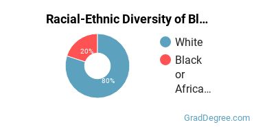 Graduate Racial-Ethnic Diversity at Blue Mountain Christian University