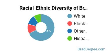 Graduate Racial-Ethnic Diversity at Brescia University