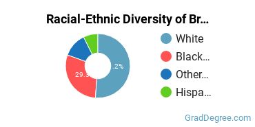 Graduate Racial-Ethnic Diversity at Bridgewater College