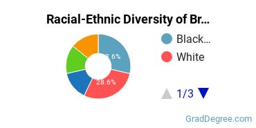 Graduate Racial-Ethnic Diversity at Bryan University Tempe