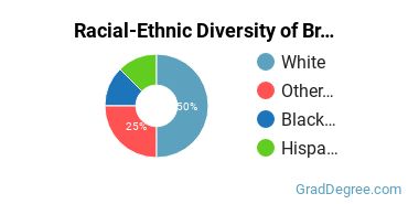 Graduate Racial-Ethnic Diversity at Bryan University Springfield