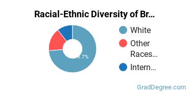 Graduate Racial-Ethnic Diversity at Bryn Athyn College