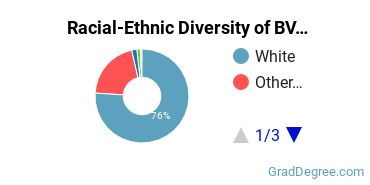 Graduate Racial-Ethnic Diversity at Buena Vista University