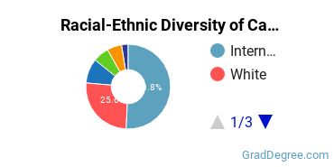 Graduate Racial-Ethnic Diversity at California College of the Arts