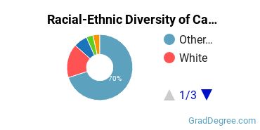Graduate Racial-Ethnic Diversity at California State University Maritime Academy