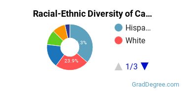 Graduate Racial-Ethnic Diversity at California State Polytechnic University-Pomona