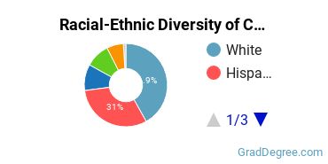 Graduate Racial-Ethnic Diversity at CSU Channel Islands