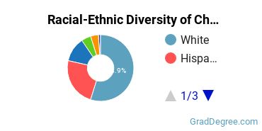 Graduate Racial-Ethnic Diversity at California State University-Chico