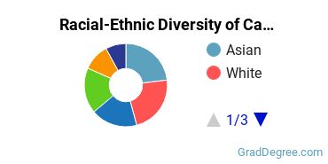Graduate Racial-Ethnic Diversity at Cal State East Bay