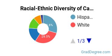 Graduate Racial-Ethnic Diversity at Cal State Fullerton
