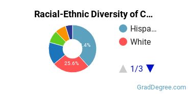 Graduate Racial-Ethnic Diversity at Cal State Long Beach