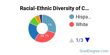 Graduate Racial-Ethnic Diversity at CSUN