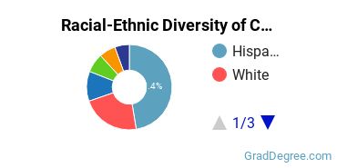 Graduate Racial-Ethnic Diversity at Cal State San Bernardino