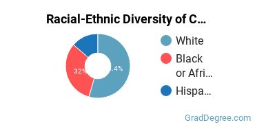 Graduate Racial-Ethnic Diversity at Calumet College of Saint Joseph